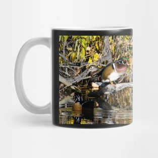 At the Pond Mug